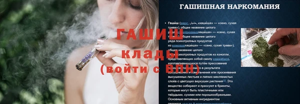 индика Кулебаки