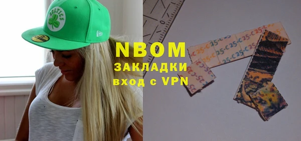 индика Кулебаки
