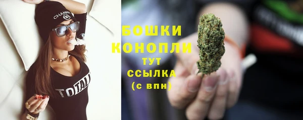 индика Кулебаки