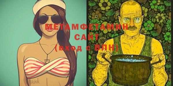 индика Кулебаки