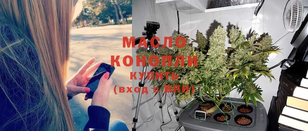 индика Кулебаки