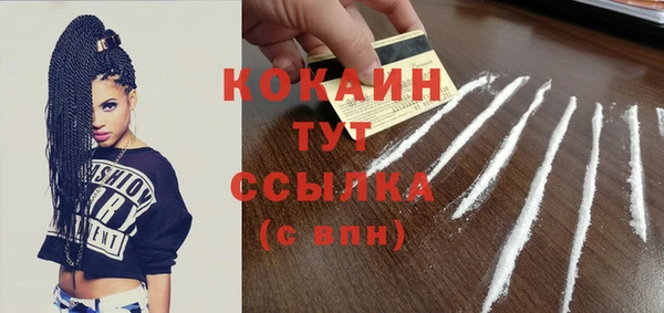 индика Кулебаки