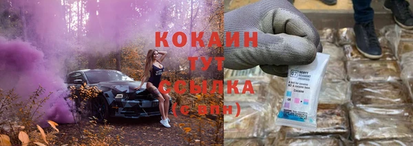 индика Кулебаки