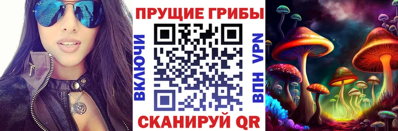 Псилоцибиновые грибы Psilocybine cubensis  Воронеж 