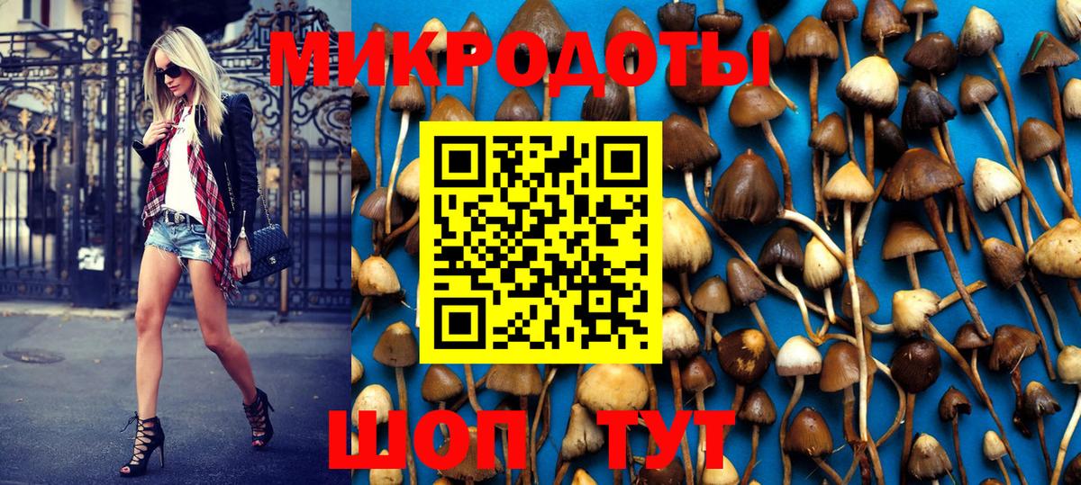 Галлюциногенные грибы MAGIC MUSHROOMS  Вход с VPN  купить закладку  Воронеж 